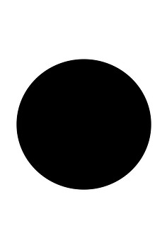 Vloerplaat Zwart Rond Ø 80 cm 2 mm dik (Hier zit levertijd op)